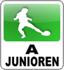tl_files/TSV/Logos/Logo-a-junioren.png